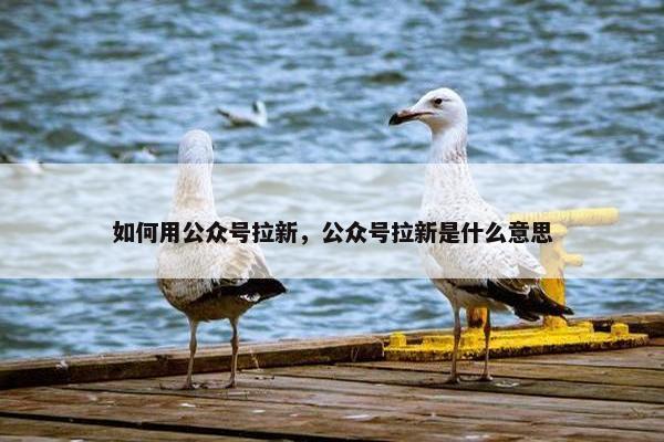 如何用公众号拉新，公众号拉新是什么意思
