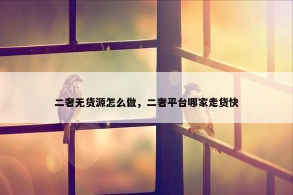 二奢无货源怎么做，二奢平台哪家走货快