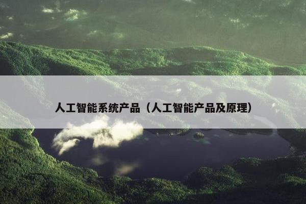 人工智能系统产品（人工智能产品及原理）