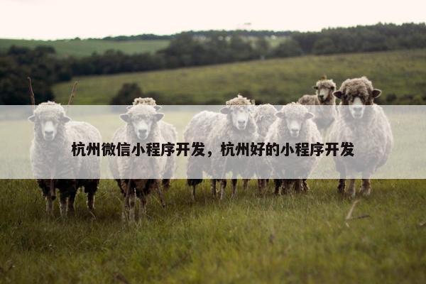 杭州微信小程序开发，杭州好的小程序开发