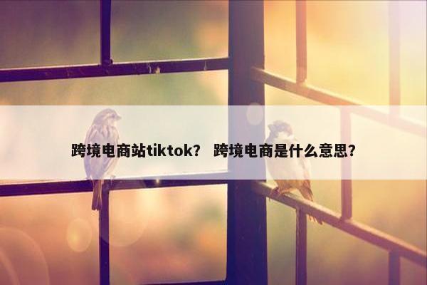 跨境电商站tiktok？ 跨境电商是什么意思？