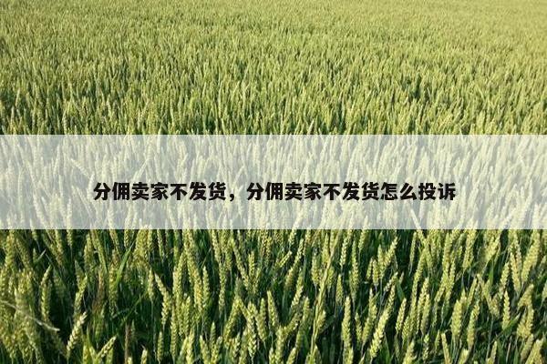 分佣卖家不发货，分佣卖家不发货怎么投诉