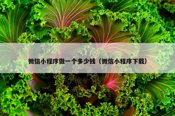 微信小程序做一个多少钱（微信小程序下载）