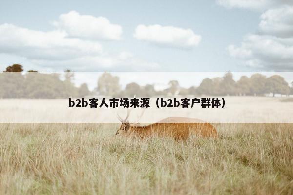 b2b客人市场来源（b2b客户群体）