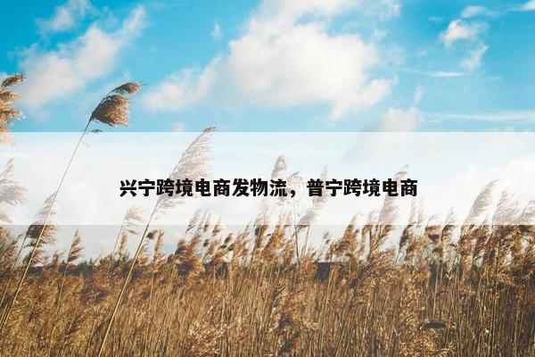 兴宁跨境电商发物流，普宁跨境电商
