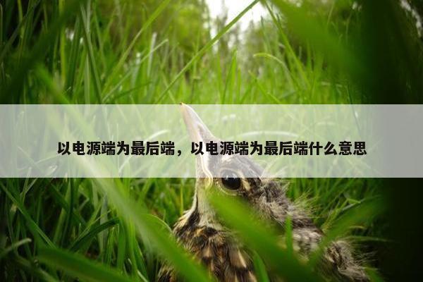 以电源端为最后端，以电源端为最后端什么意思