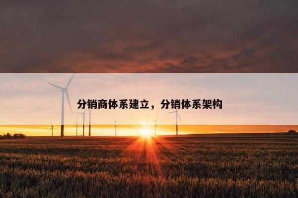 分销商体系建立，分销体系架构