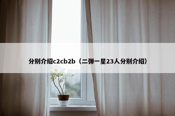 分别介绍c2cb2b（二弹一星23人分别介绍）