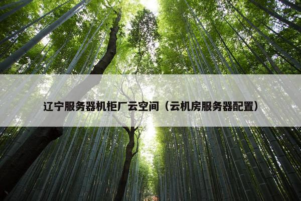 辽宁服务器机柜厂云空间（云机房服务器配置）
