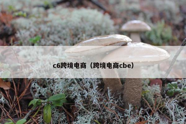 c6跨境电商（跨境电商cbe）