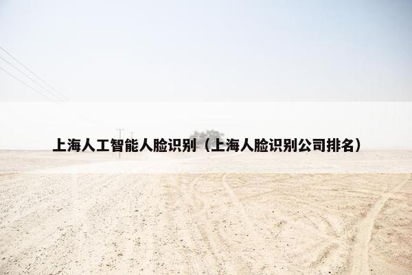 上海人工智能人脸识别（上海人脸识别公司排名）