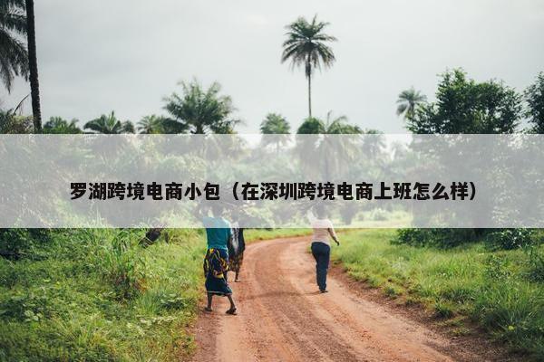 罗湖跨境电商小包（在深圳跨境电商上班怎么样）