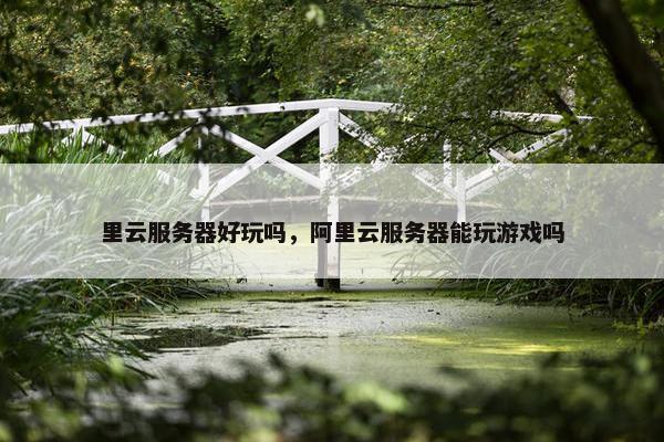 里云服务器好玩吗，阿里云服务器能玩游戏吗