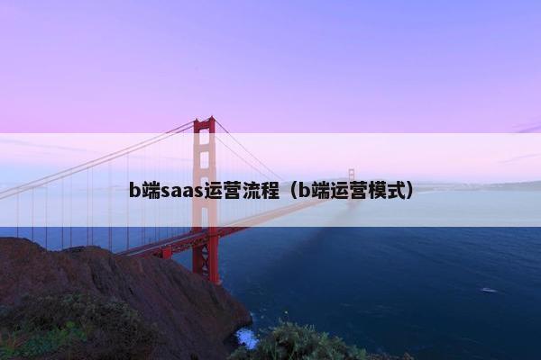 b端saas运营流程（b端运营模式）
