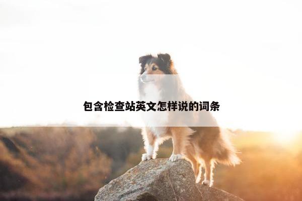 包含检查站英文怎样说的词条