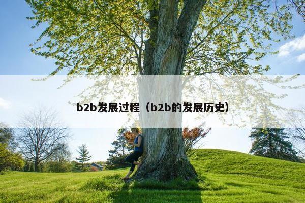 b2b发展过程（b2b的发展历史）