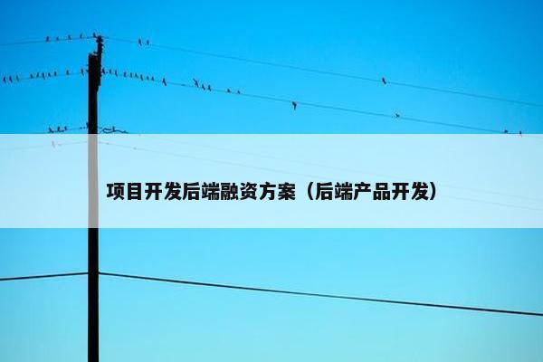 项目开发后端融资方案（后端产品开发）
