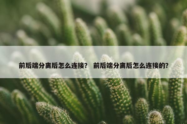 前后端分离后怎么连接？ 前后端分离后怎么连接的？