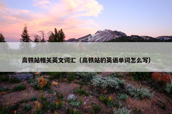 高铁站相关英文词汇（高铁站的英语单词怎么写）
