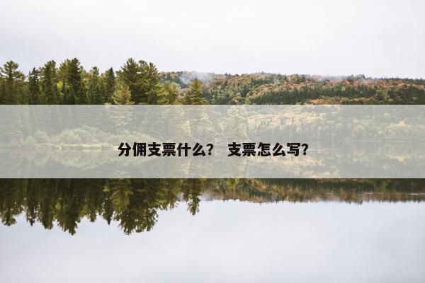 分佣支票什么？ 支票怎么写？