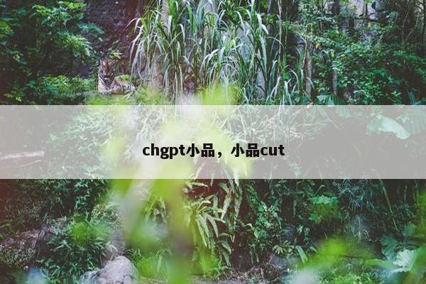 chgpt小品，小品cut