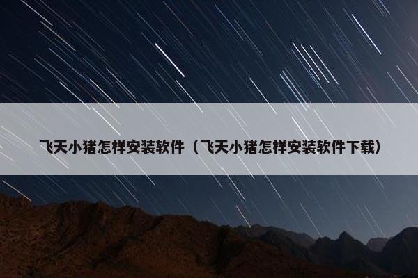 飞天小猪怎样安装软件（飞天小猪怎样安装软件下载）