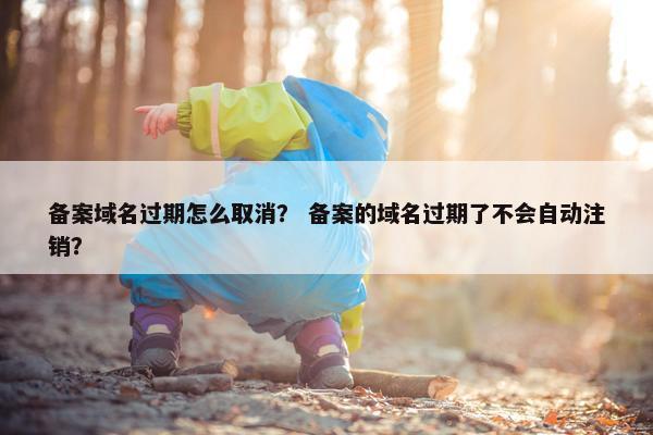 备案域名过期怎么取消？ 备案的域名过期了不会自动注销？