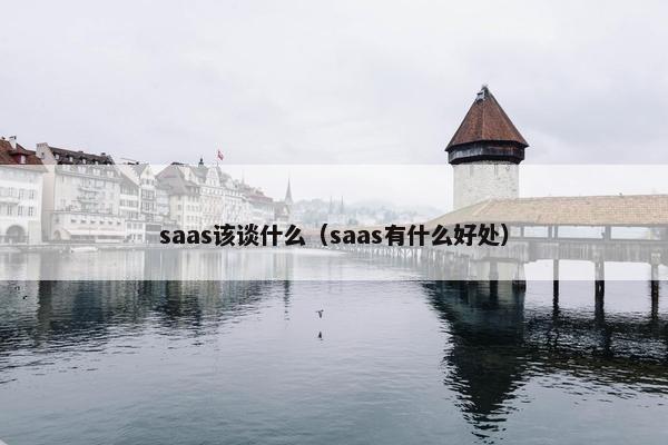 saas该谈什么（saas有什么好处）