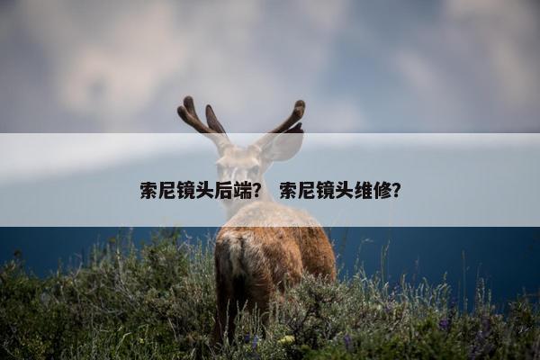 索尼镜头后端？ 索尼镜头维修？