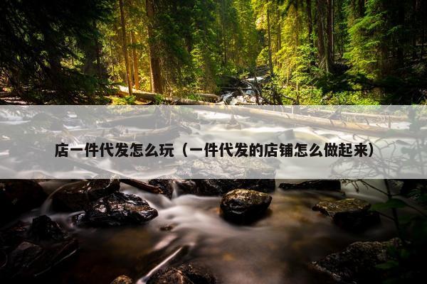 店一件代发怎么玩（一件代发的店铺怎么做起来）