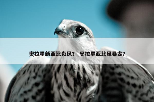 奥拉星新亚比炎风？ 奥拉星亚比风暴龙？