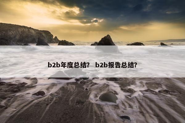 b2b年度总结？ b2b报告总结？