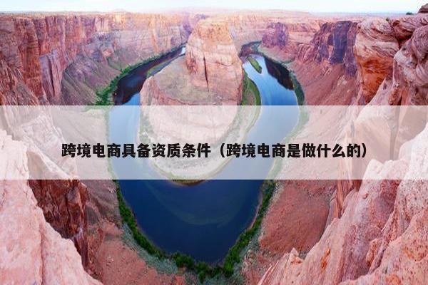 跨境电商具备资质条件（跨境电商是做什么的）