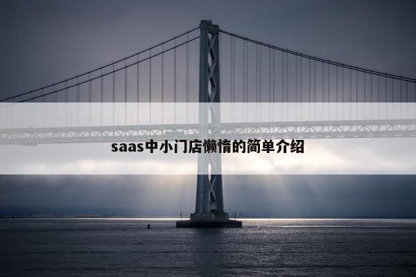 saas中小门店懒惰的简单介绍