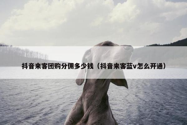抖音来客团购分佣多少钱（抖音来客蓝v怎么开通）