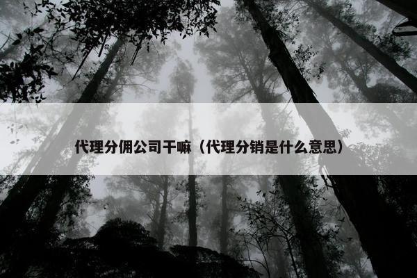 代理分佣公司干嘛（代理分销是什么意思）
