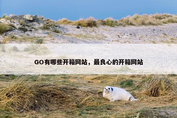 GO有哪些开箱网站，最良心的开箱网站