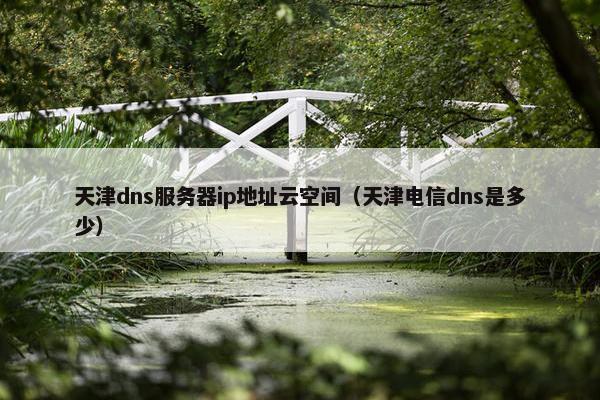 天津dns服务器ip地址云空间（天津电信dns是多少）
