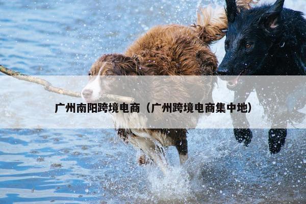 广州南阳跨境电商（广州跨境电商集中地）
