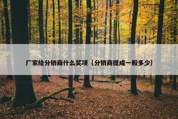 厂家给分销商什么奖项（分销商提成一般多少）