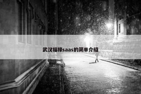 武汉福禄saas的简单介绍