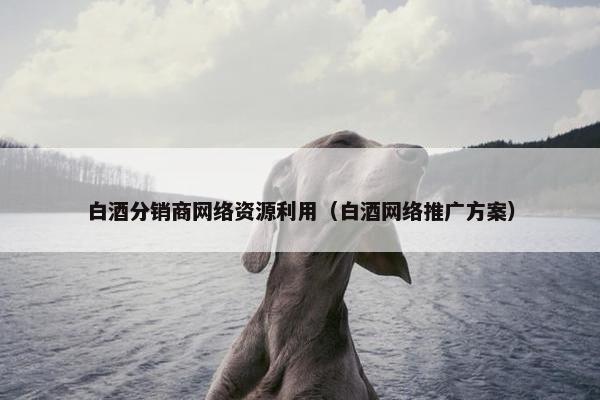 白酒分销商网络资源利用（白酒网络推广方案）