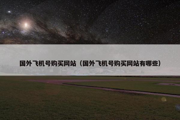 国外飞机号购买网站（国外飞机号购买网站有哪些）