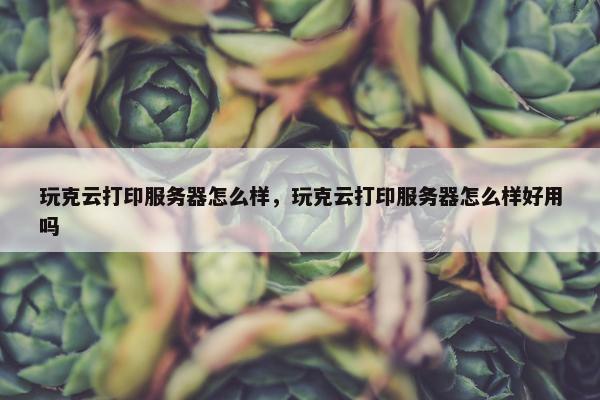 玩克云打印服务器怎么样，玩克云打印服务器怎么样好用吗
