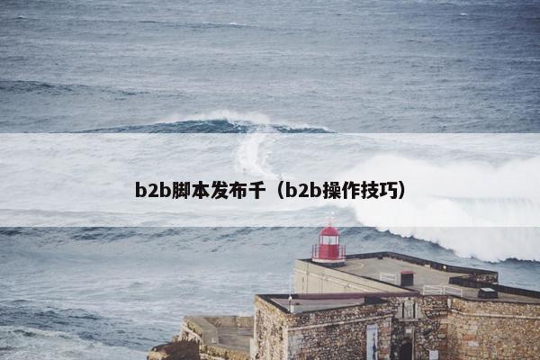 b2b脚本发布千（b2b操作技巧）
