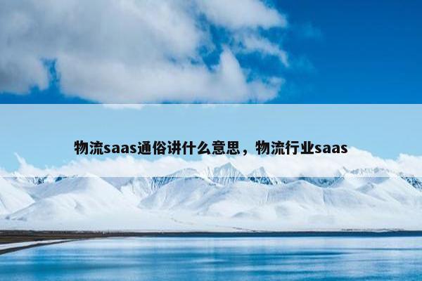 物流saas通俗讲什么意思，物流行业saas