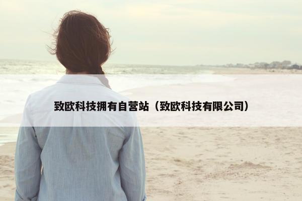 致欧科技拥有自营站（致欧科技有限公司）