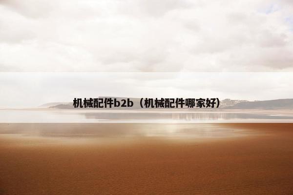 机械配件b2b（机械配件哪家好）