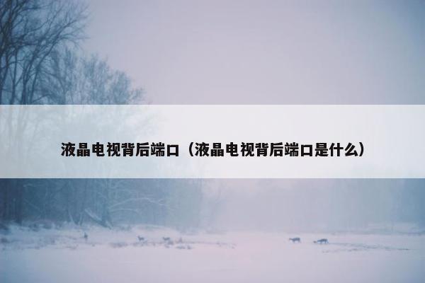 液晶电视背后端口（液晶电视背后端口是什么）