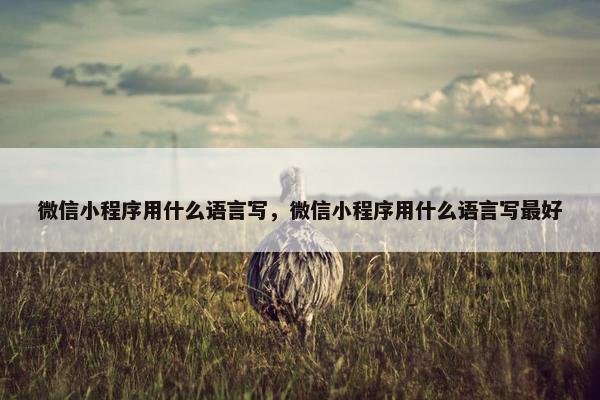 微信小程序用什么语言写，微信小程序用什么语言写最好
